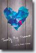 *Twenty Boy Summer* by Sarah Ockler- young adult book review