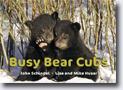 *Busy Bear Cubs (A Busy Book)* by John Schindel, photographs by Lisa and Mike Husar