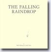*The Falling Raindrop* by Neil Johnson, illustrated by Joel Chin