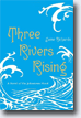 *Three Rivers Rising: A Novel of the Johnstown Flood* by Jame Richards- young adult book review