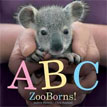 *ABC ZooBorns!* by Andrew Bleiman, illustrated by Chris Eastland