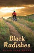 *Black Radishes* by Susan Lynn Meyer- young readers fantasy book review