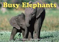 *Busy Elephants (A Busy Book)* by John Schindel, photographs by Martin Harvey