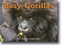 *Busy Gorillas (A Busy Book)* by John Schindel, illustrated by Andy Rouse