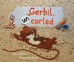 *Gerbil, Uncurled (Tell Me More Storybook)* by Alison Hughes, illustrated by Suzanne Del Rizzo