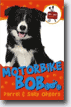 *Motorbike Bob (Pet Vet, Book 3)* by Darrel and Sally Odgers, illustrated by Janine Dawson- beginning readers book review