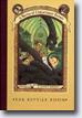 *The Reptile Room (A Series of Unfortunate Events, Book 2)* by Lemony Snicket, illustrated by Brett Helquist - tweens/young readers book review