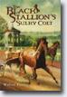 *The Black Stallion's Sulky Colt* by Walter Farley- young readers book review