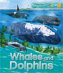 *Explorers: Whales and Dolphins* by Peter Bull and Anita Ganeri - beginning readers book review