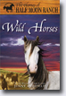 *Wild Horses (Horses of Half Moon Ranch)* by Jenny Oldfield- young readers book review